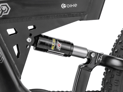 Rear Air Shock