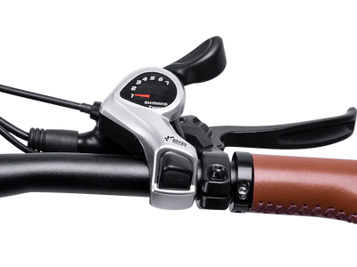 E-Bike Shifter