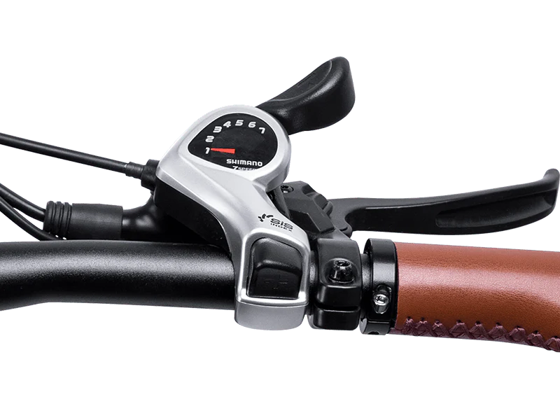 E-Bike Shifter