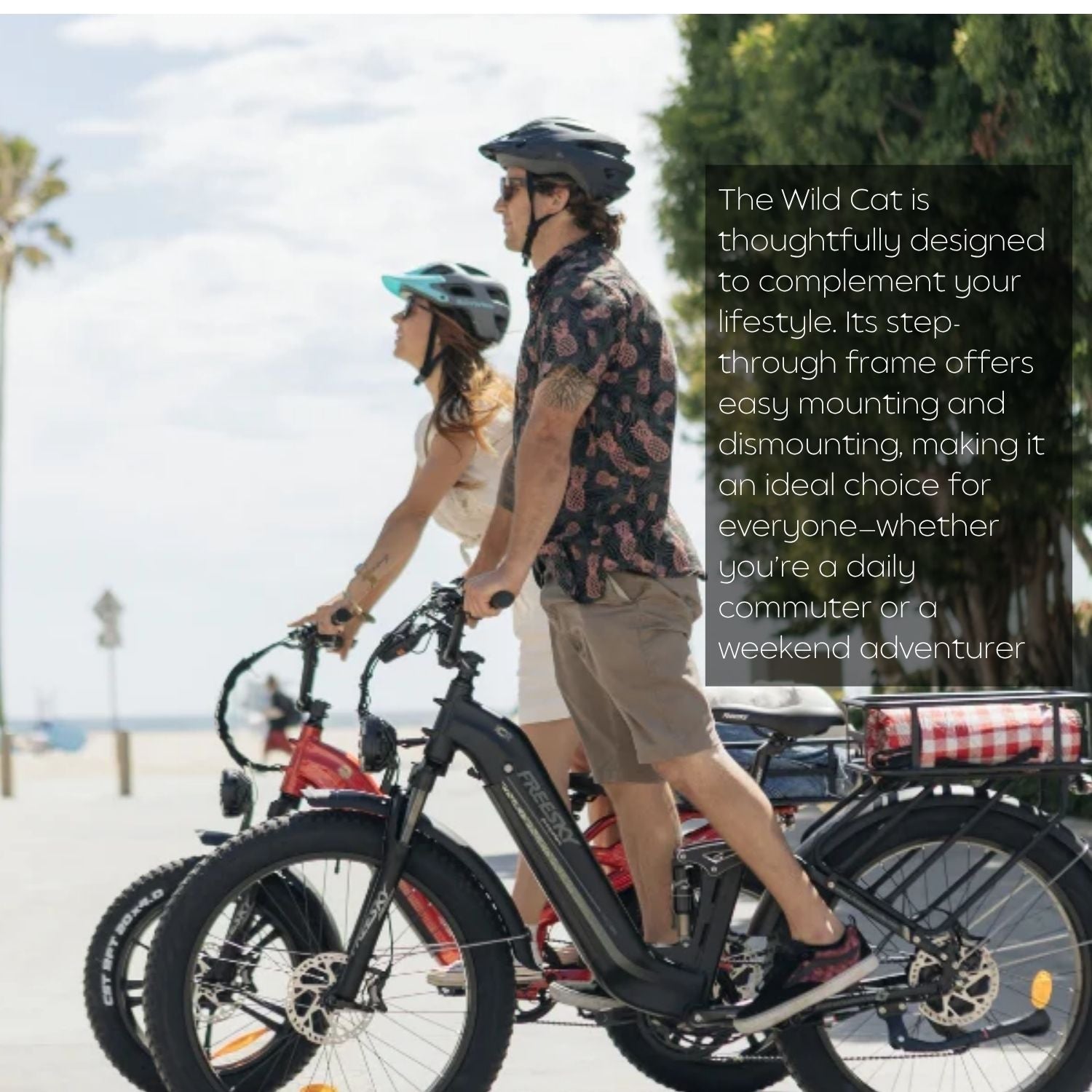 Wild Cat Ultra High Power Daily Commuter Step Thru Electric Bike 2026