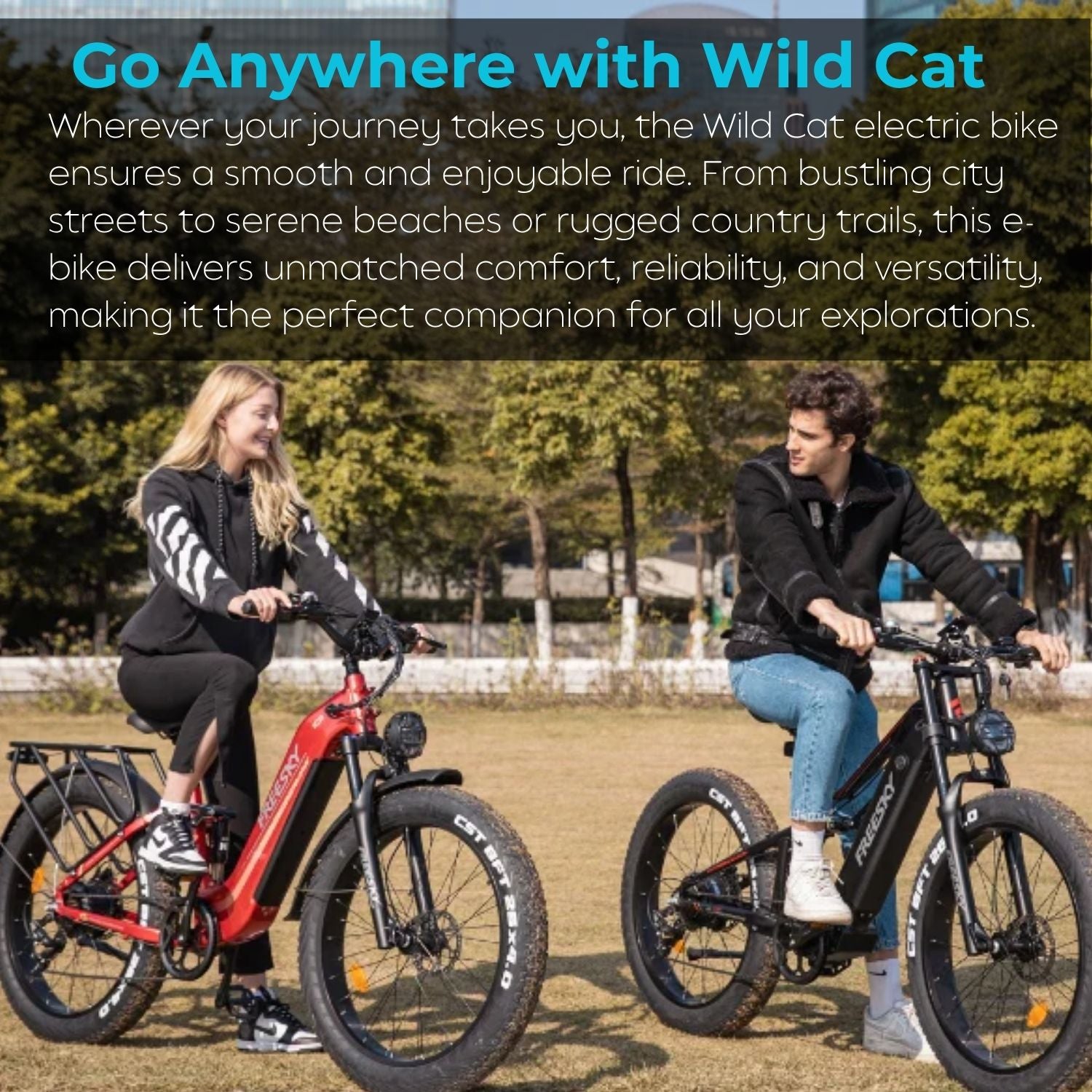 Wild Cat Ultra High Power Daily Commuter Step Thru Electric Bike 2026
