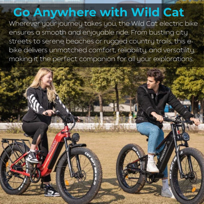 Wild Cat Ultra High Power Daily Commuter Step Thru Electric Bike 2026